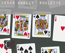 Cedar Knolls  roulette