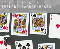 Other cities in Ireland  paardenraces