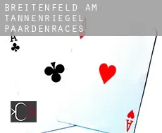 Breitenfeld am Tannenriegel  paardenraces