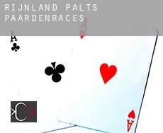 Rijnland-Palts  paardenraces