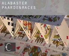 Alabaster  paardenraces