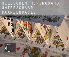 Hellschen-Heringsand-Unterschaar  paardenraces