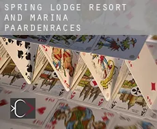 Spring Lodge Resort and Marina  paardenraces