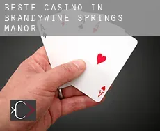 Beste casino in  Brandywine Springs Manor