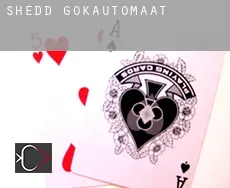 Shedd gokautomaat