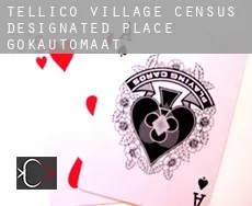 Tellico Village  gokautomaat