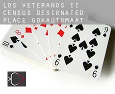 Los Veteranos II  gokautomaat