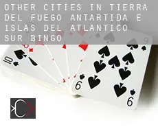 Other cities in Tierra del Fuego, Antartida e Islas del Atlantico Sur  bingo