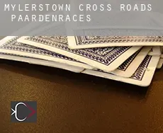 Mylerstown Cross Roads  paardenraces