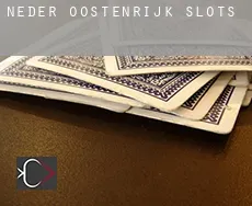 Neder-Oostenrijk  slots