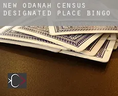 New Odanah  bingo