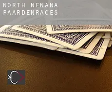 North Nenana  paardenraces
