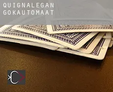 Quignalegan  gokautomaat