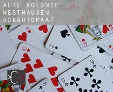 Alte Kolonie Westhausen gokautomaat