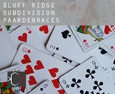 Bluff Ridge Subdivision  paardenraces