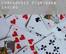 Chrysopsis Floridana  casino