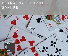 Planá nad Lužnicí  gokken
