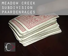 Meadow Creek Subdivision  paardenraces