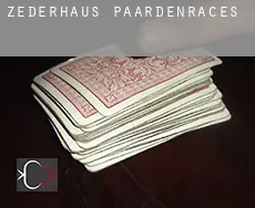 Zederhaus  paardenraces