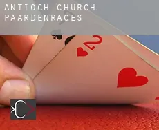 Antioch Church  paardenraces