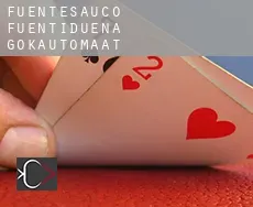 Fuentesaúco de Fuentidueña  gokautomaat