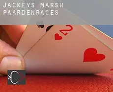 Jackeys Marsh paardenraces
