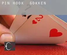 Pin Hook  gokken