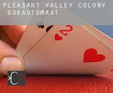 Pleasant Valley Colony  gokautomaat