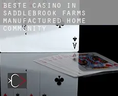 Beste casino in  Saddlebrook Farms Manufactured Home Community