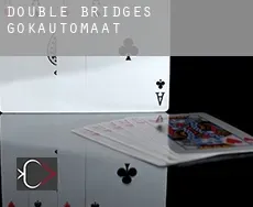 Double Bridges  gokautomaat