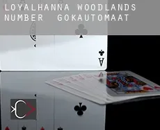 Loyalhanna Woodlands Number 2 gokautomaat