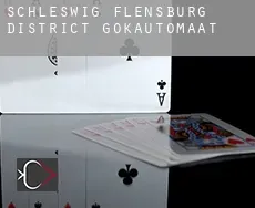 Schleswig-Flensburg District  gokautomaat