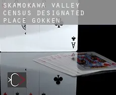 Skamokawa Valley  gokken