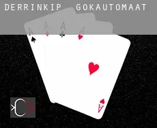 Derrinkip  gokautomaat