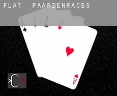 Flat  paardenraces