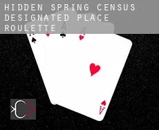 Hidden Spring  roulette