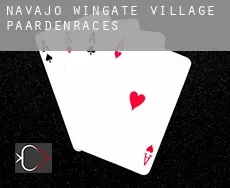 Navajo Wingate Village  paardenraces