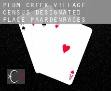 Plum Creek Village  paardenraces