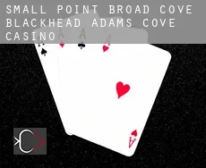 Small Point-Broad Cove-Blackhead-Adams Cove  casino