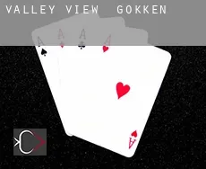 Valley View  gokken