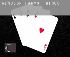 Windsor Farms  bingo