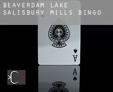 Beaverdam Lake-Salisbury Mills  bingo