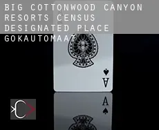 Big Cottonwood Canyon Resorts  gokautomaat