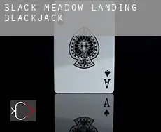 Black Meadow Landing  blackjack