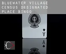 Bluewater Village  bingo