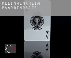 Kleinwenkheim  paardenraces