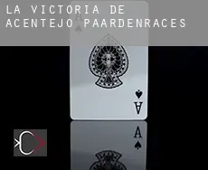 La Victoria de Acentejo  paardenraces