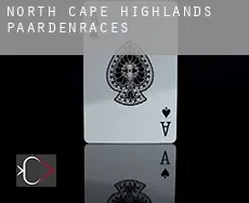 North Cape Highlands  paardenraces