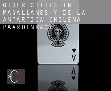 Other cities in Magallanes y de la Antartica Chilena  paardenraces