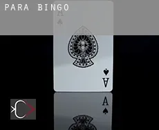 Pará  bingo